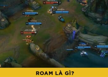 ROAM Là Gì? Mục Đích Và Thời Điểm Nên ROAM