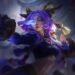 Yunara Võ Đài Build: Tăng Cường, Lên Đồ Yunara Arena