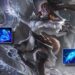 Aurora Võ Đài Build: Tăng Cường, Lên Đồ Aurora Arena